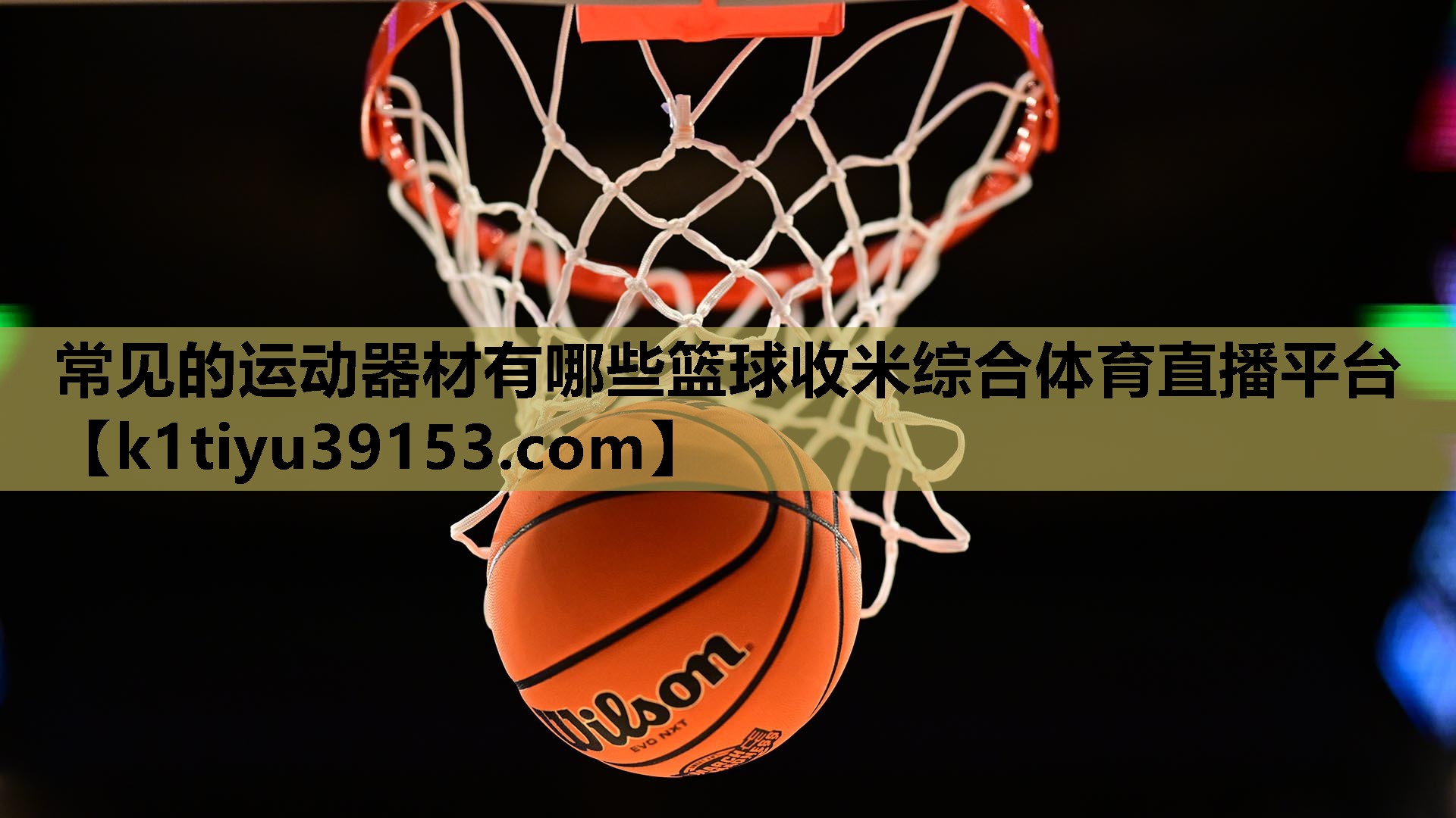 常见的运动器材有哪些篮球收米综合体育直播平台