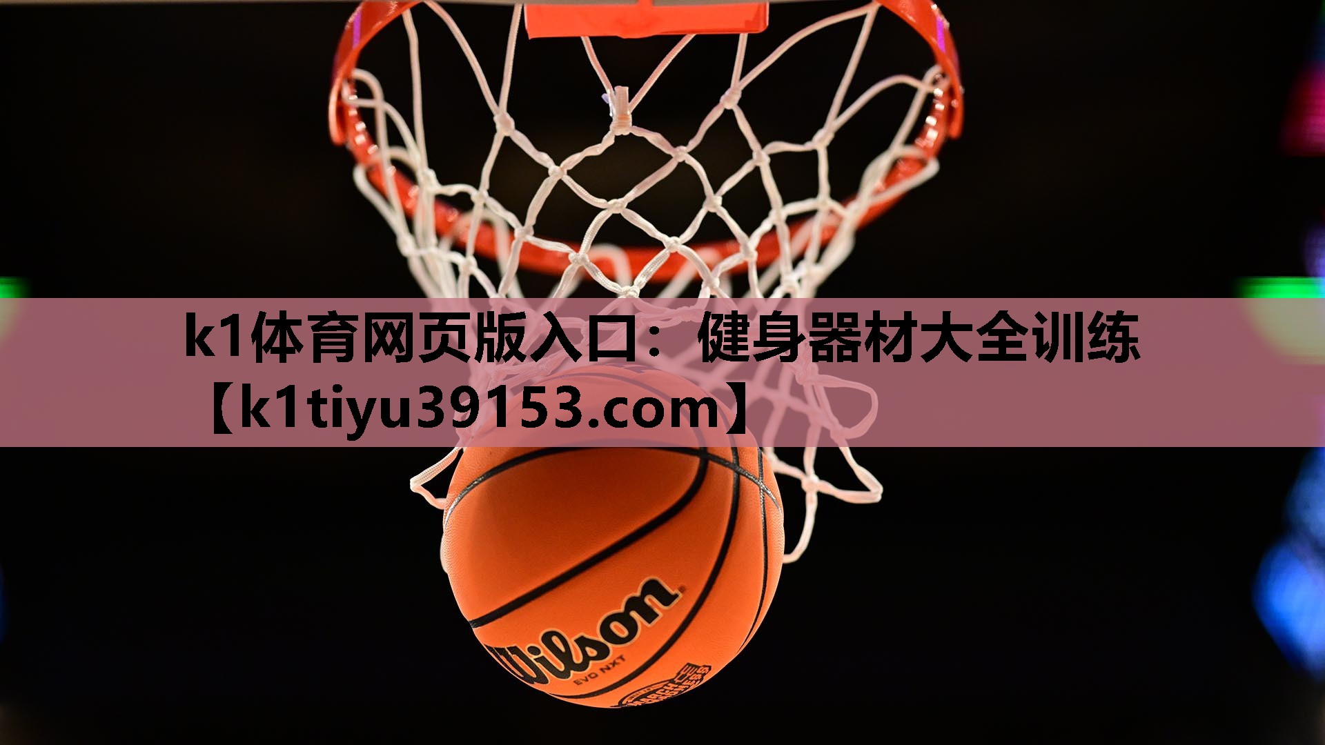 健身器材大全训练