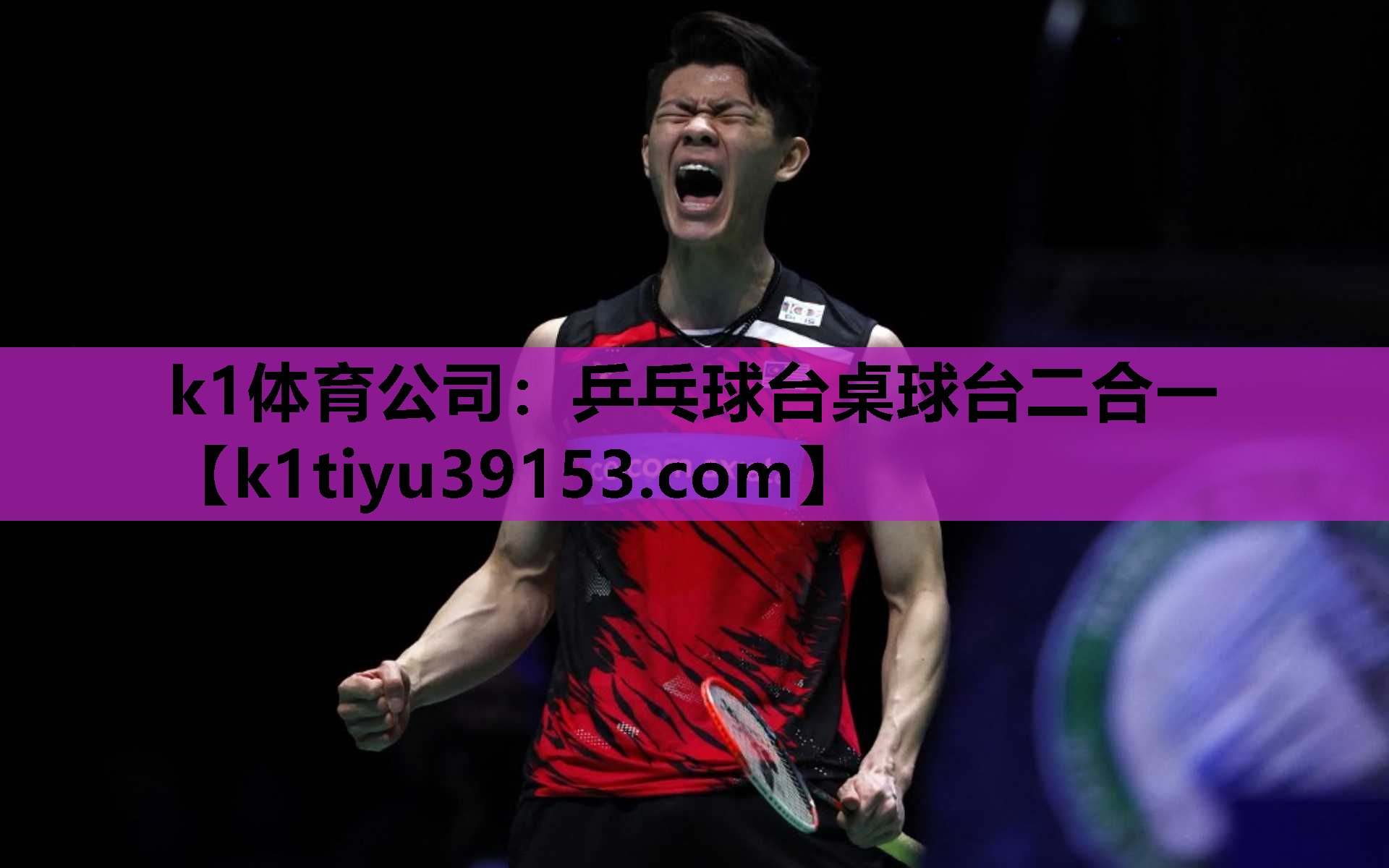 乒乓球台桌球台二合一