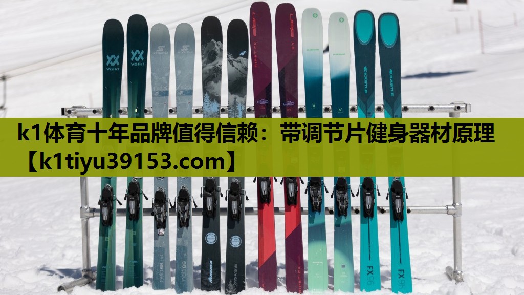 带调节片健身器材原理